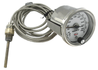 Temperature Switches